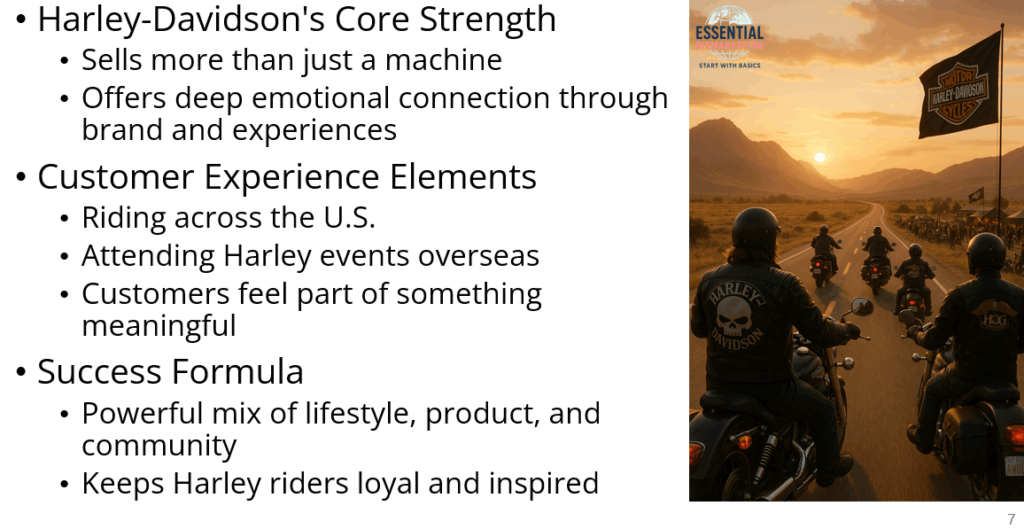 Harley-Davidson: How a Motorcycle Brand Became a Global Lifestyle - Harley Davidson E Motion Sectors