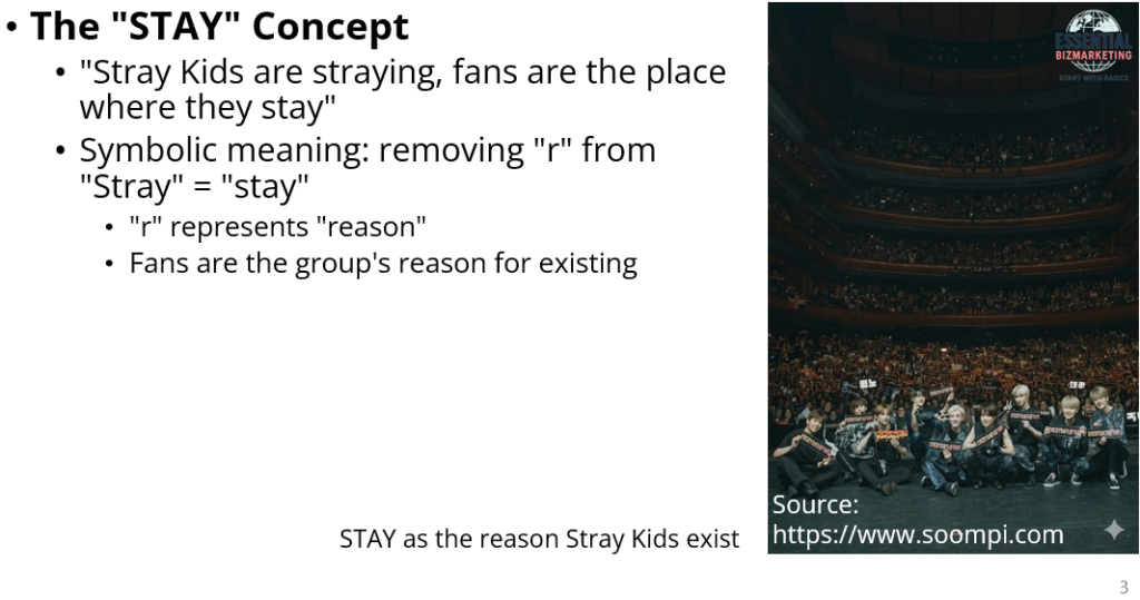 Stray Kids & STAY: How K-pop Fandom Creates Brand Resonance